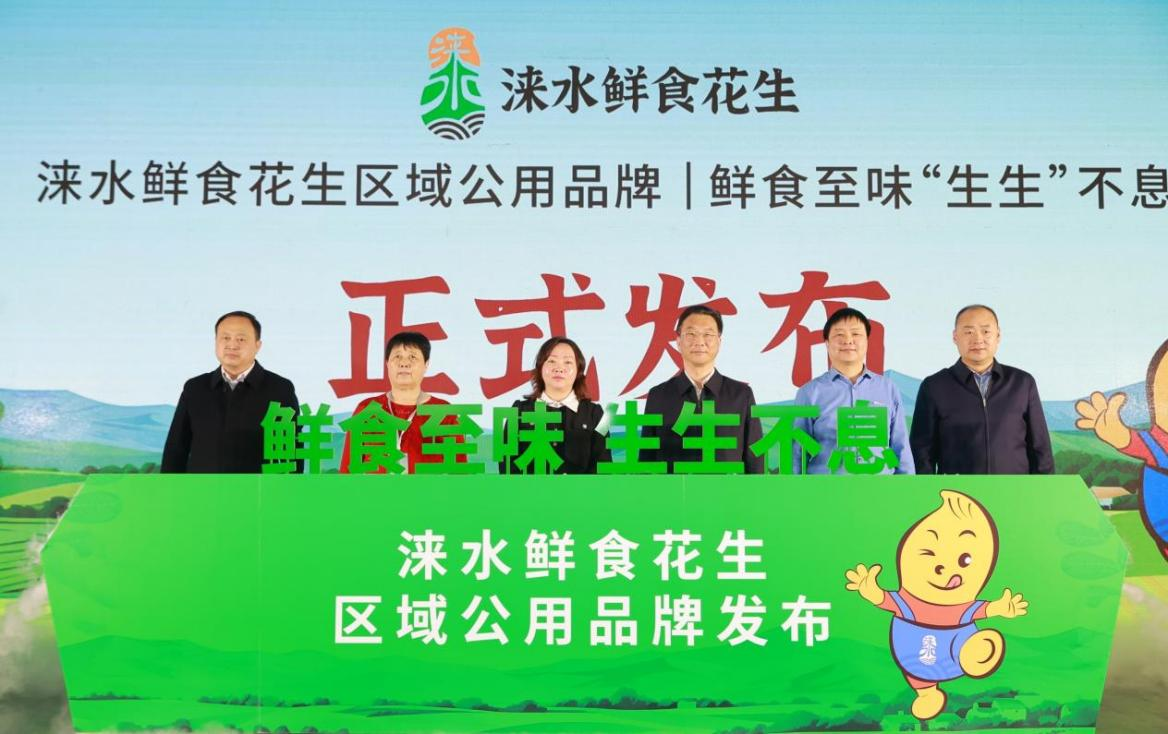 涞水鲜食花生区域公用品牌发布。金玲摄