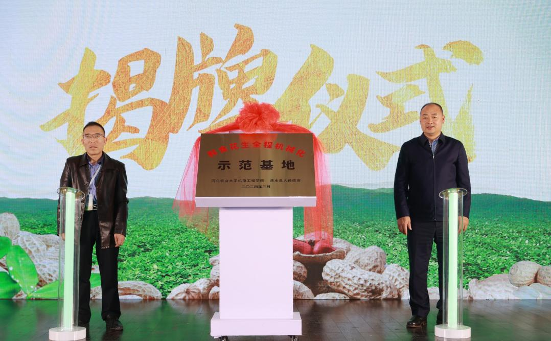 “鲜食花生全程机械化示范基地”揭牌仪式。金玲摄