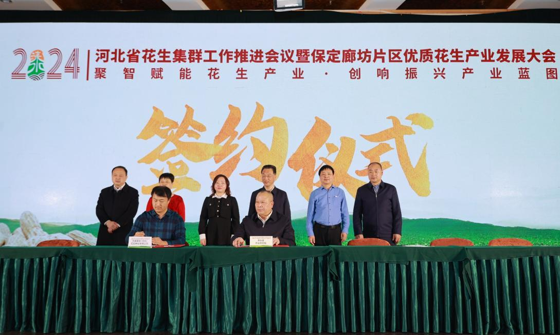 【涞水县融媒体中心的作品】河北省花生集群工作推进会议暨保定廊坊片区优质花生产业发展大会在涞水县成功举办
