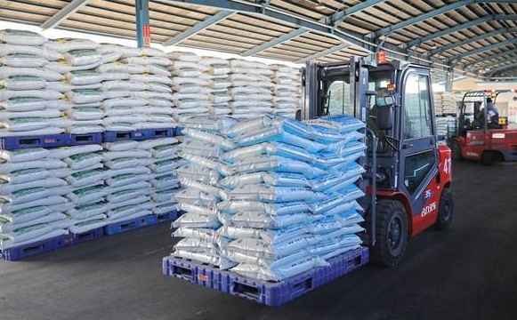 雨水已至 河北多措并举推进春耕备耕