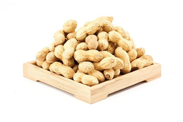 花生：大脑的能量燃料，为什么考生都爱它？